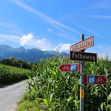 2,5 Zimmer Ferienwohnung Mit Kueche/Bad Triesen Exteriér fotografie